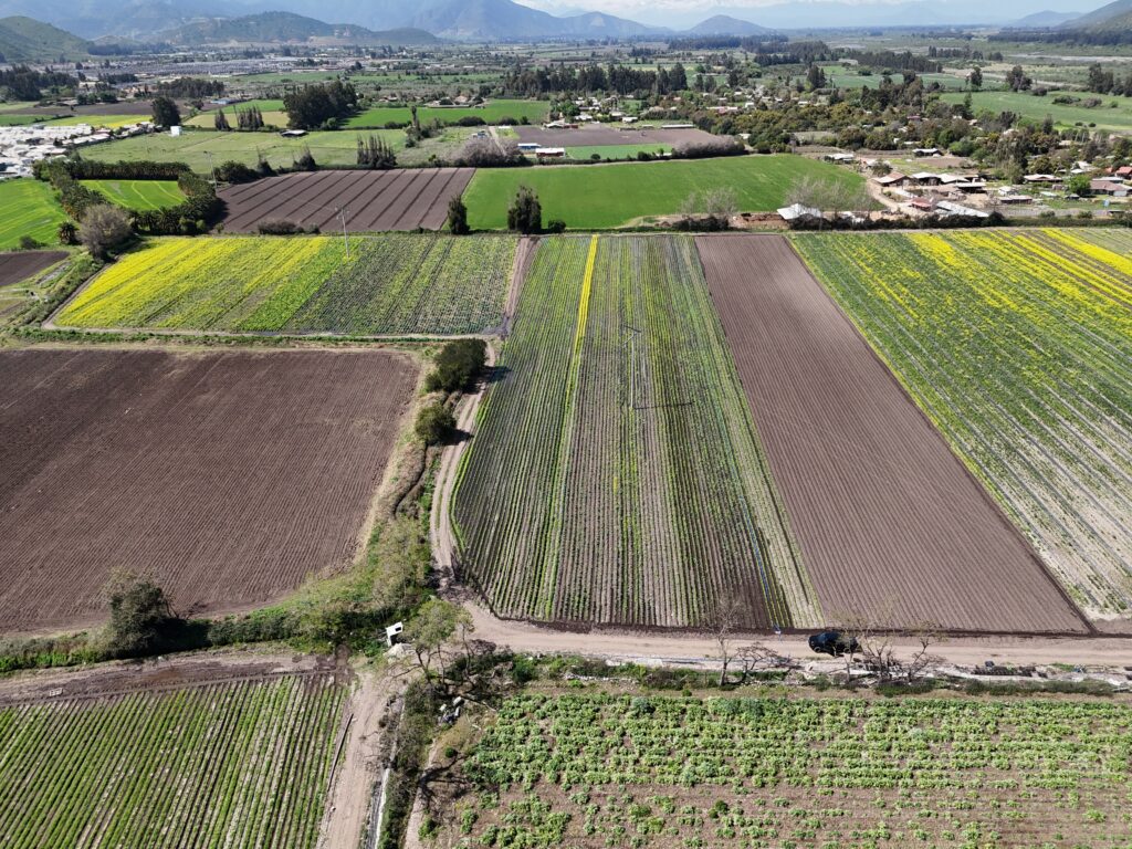 Lote rol 2004-6, Camino El Bajo, Melipilla